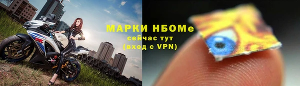 эйфоретик Кукмор