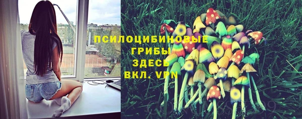 эйфоретик Кукмор