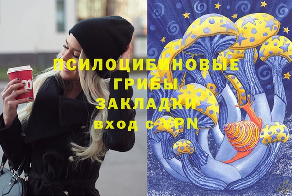 эйфоретик Кукмор