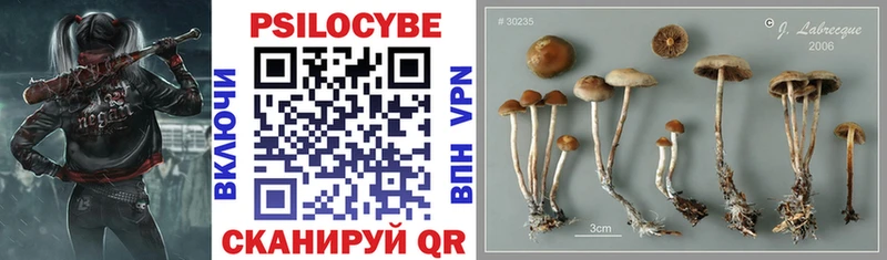 Галлюциногенные грибы Magic Shrooms  Купить  Омутнинск 